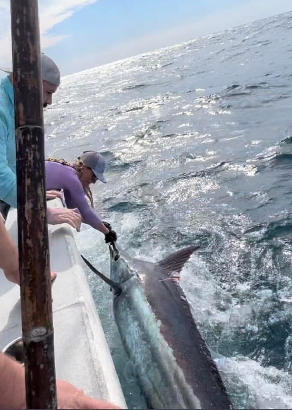 Blue Marlin fishing in Venice Louisiana