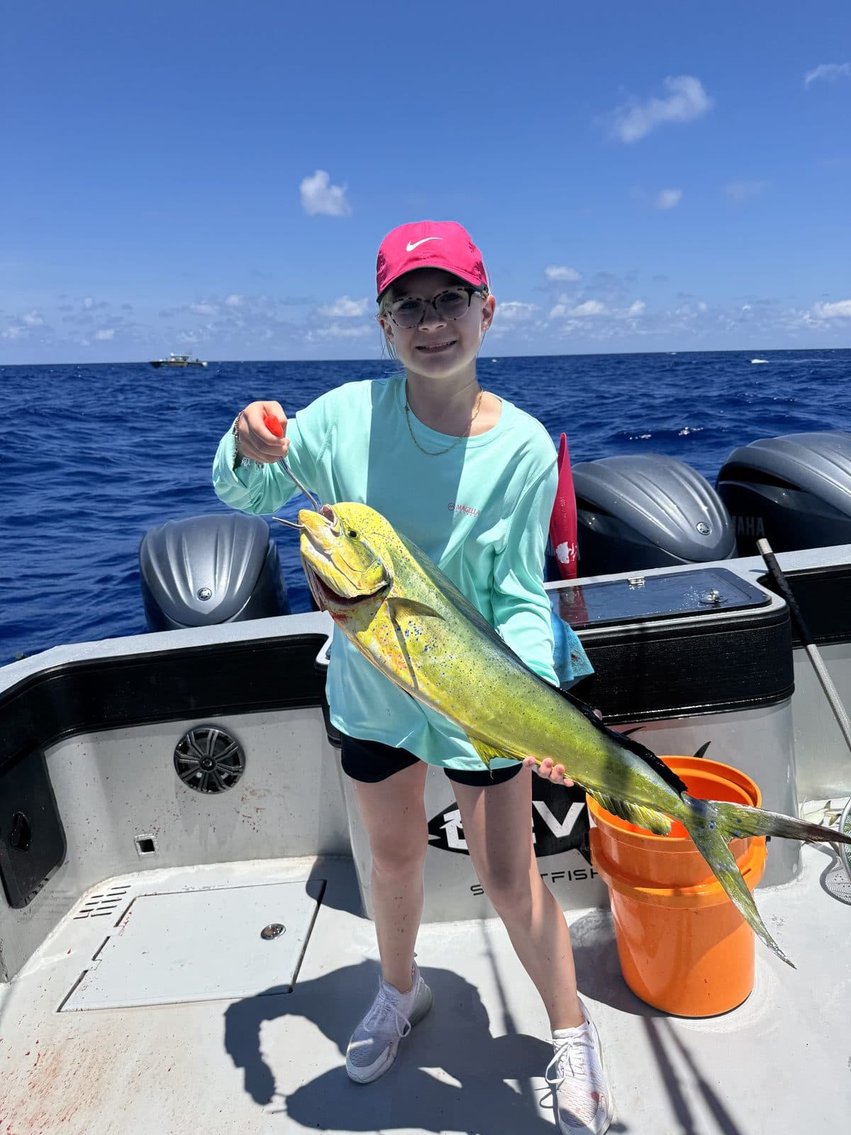 Mahi-Mahi fishing in Venice Louisiana